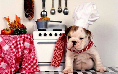 狗狗怎样判断年龄-图片3