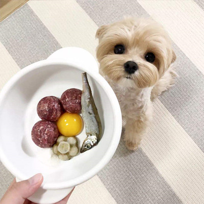 食物刺激训练狗狗方法-图片2