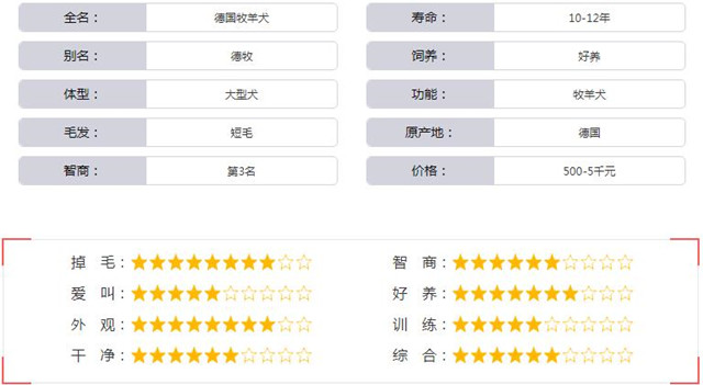 德国牧羊犬基本资料