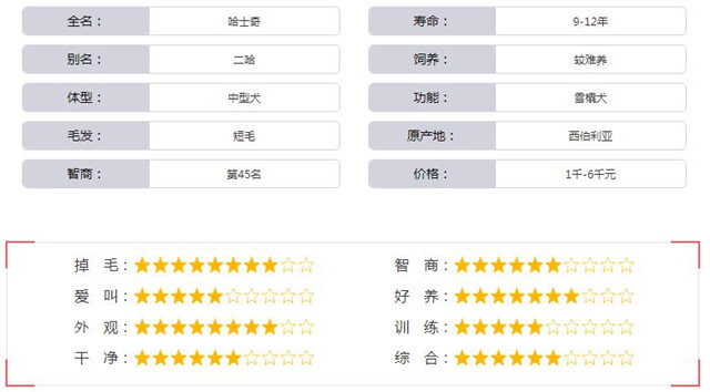 西伯利亚雪橇犬基本资料-图片2