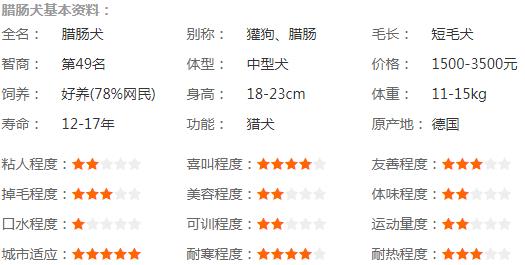 腊肠犬基本资料
