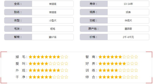 吉娃娃品种基本资料