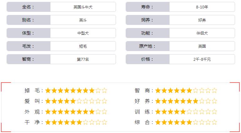 英国斗牛犬基本资料