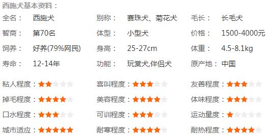 西施犬基本资料