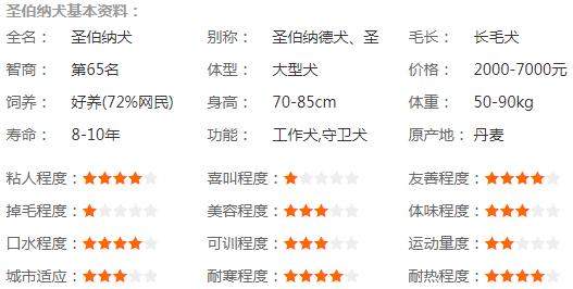 圣伯纳犬基本资料