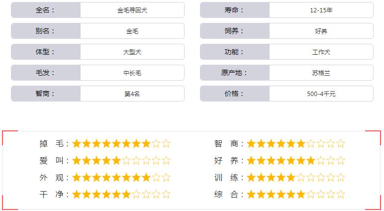 金毛犬基本资料