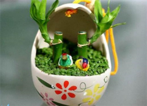 富贵竹叶子发黄怎么救，富贵竹叶子发黄怎么办-图片2